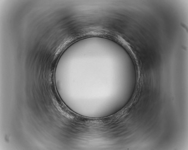 X0000101420106200807071040