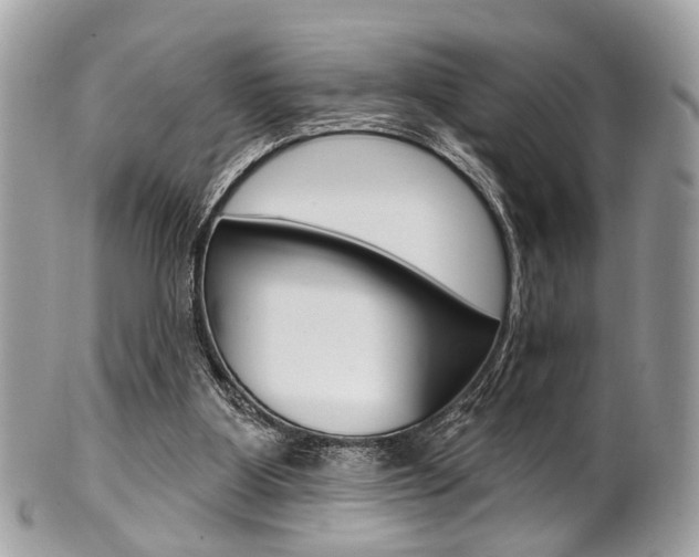 X0000101420107200807071040