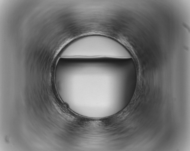 X0000101420108200807071040