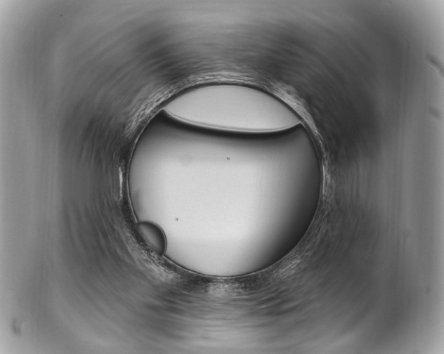 X0000101420109200807071040