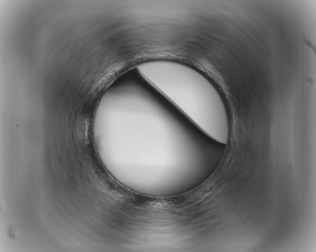 X0000101420115200807071040