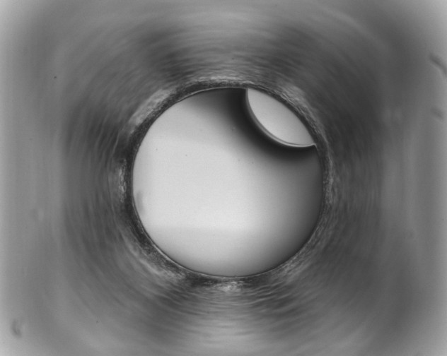 X0000101420116200807071040