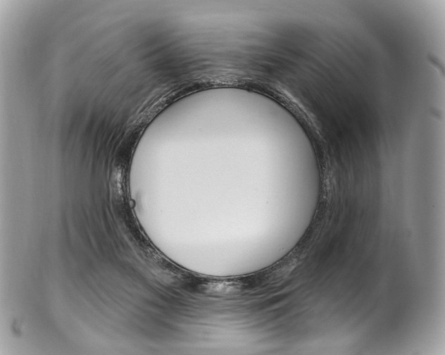X0000101420117200807071040