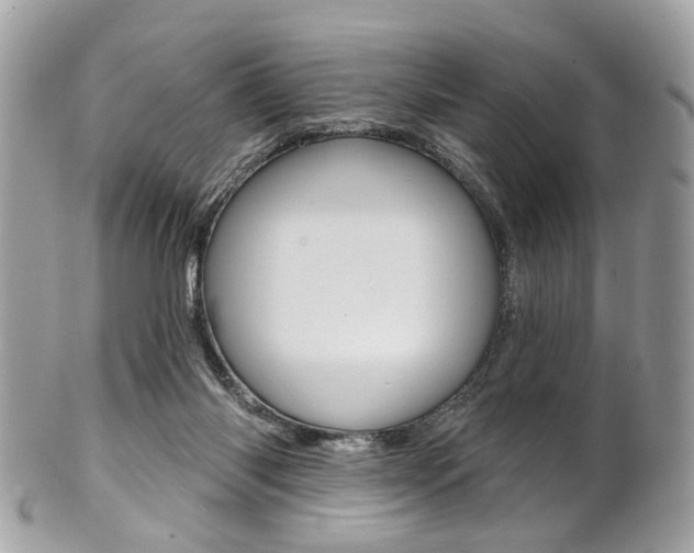 X0000101420118200807071040