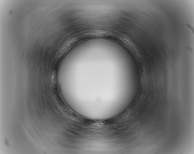 X0000101420119200807071040