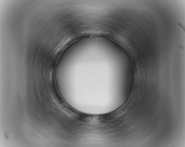 X0000101420120200807071040