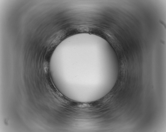 X0000101420125200807071040