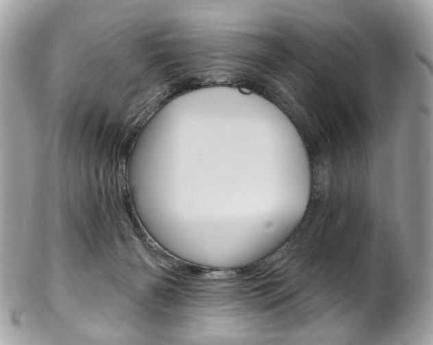 X0000101420126200807071040