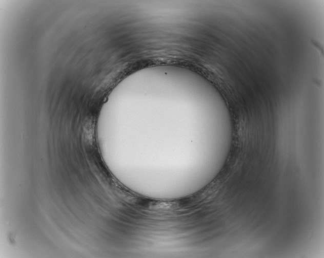 X0000101420129200807071040
