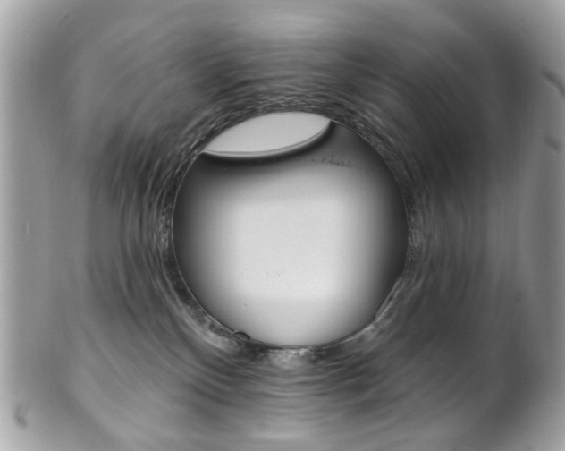 X0000101420136200807071040