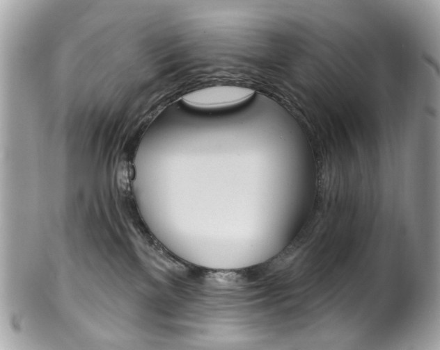 X0000101420137200807071040
