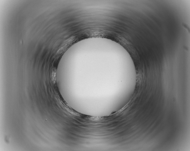 X0000101420142200807071040