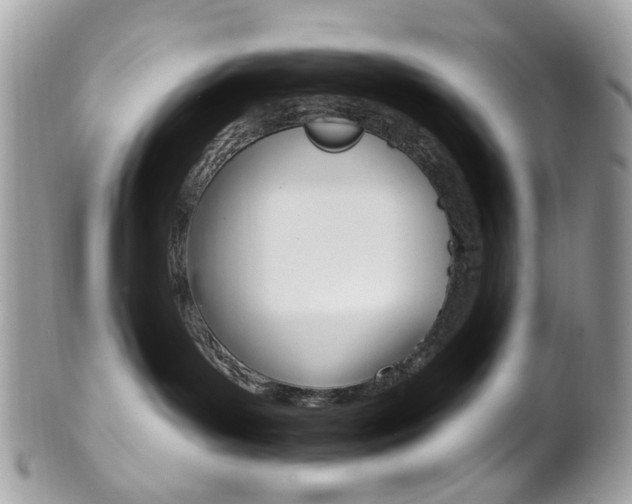 X0000101420143200807071040