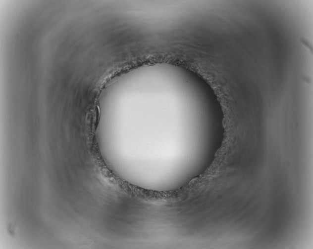 X0000101420144200807071040