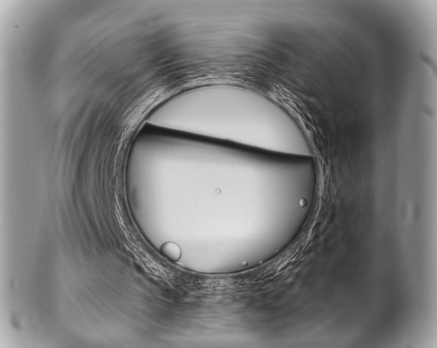 X0000101420145200807071039