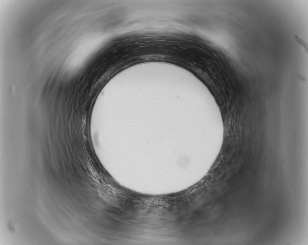 X0000101420146200807071039