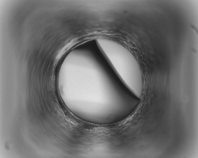 X0000101420150200807071039