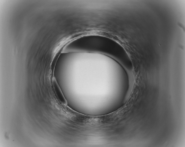X0000101420152200807071039