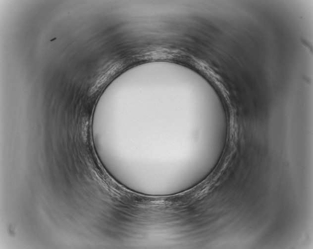 X0000101420153200807071039