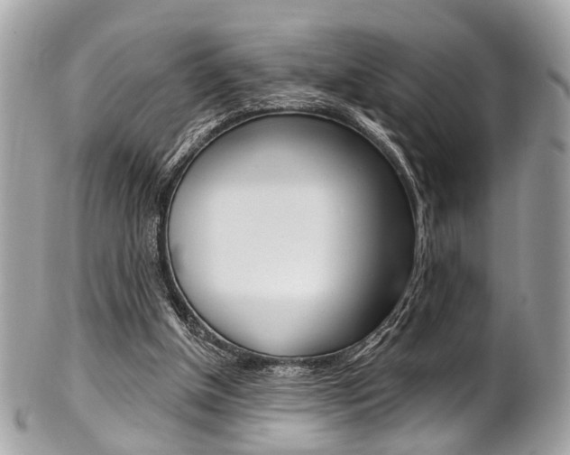 X0000101420154200807071039