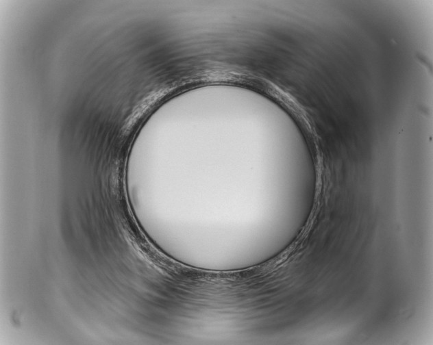 X0000101420155200807071039