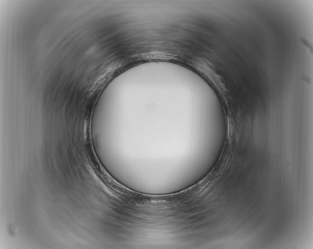 X0000101420157200807071039