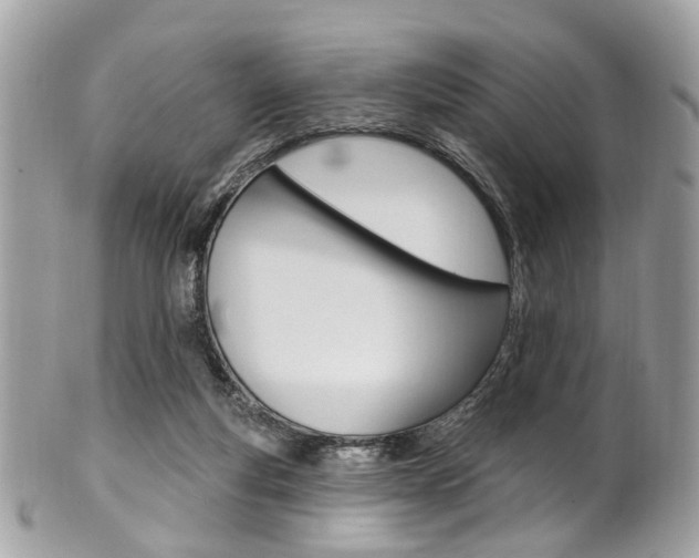 X0000101420163200807071039