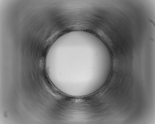 X0000101420165200807071039
