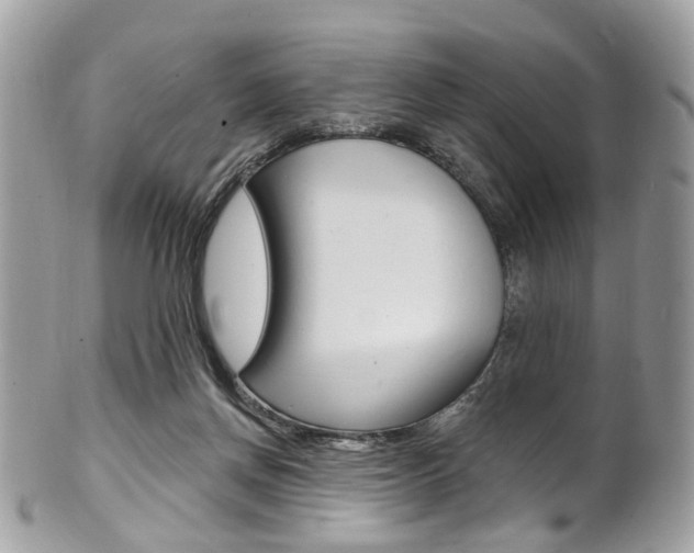 X0000101420166200807071039
