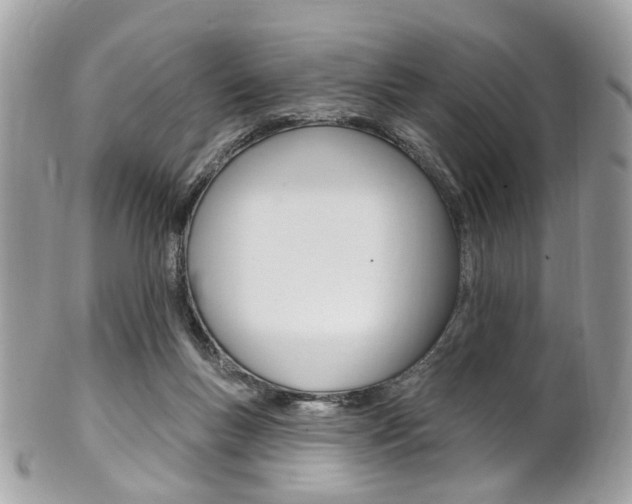 X0000101420167200807071039