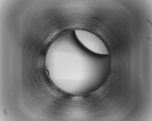 X0000101420168200807071039
