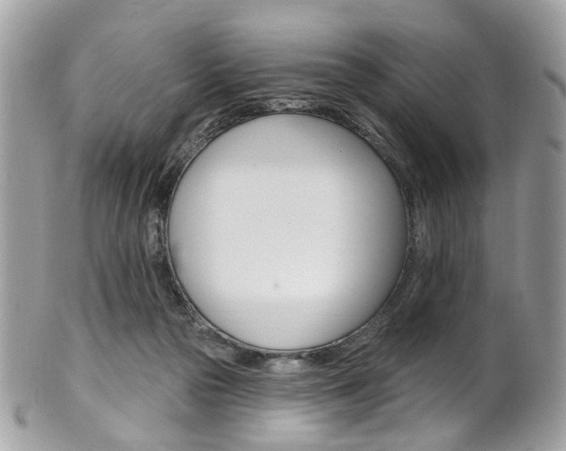 X0000101420169200807071040