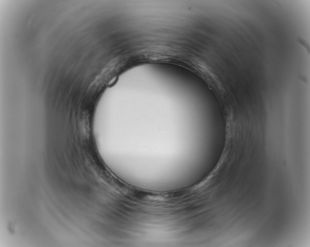 X0000101420170200807071040