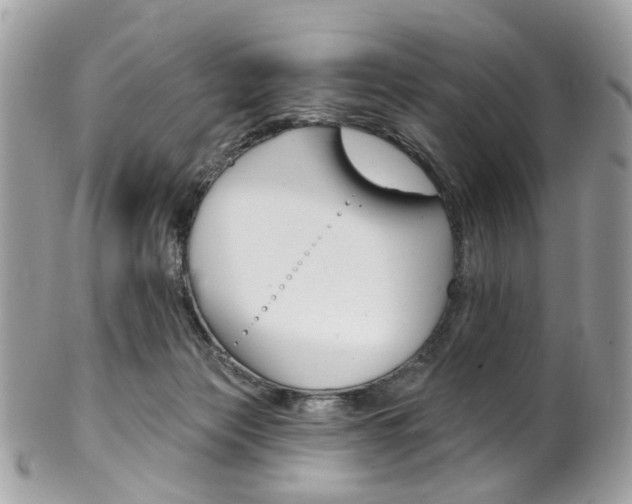 X0000101420173200807071040
