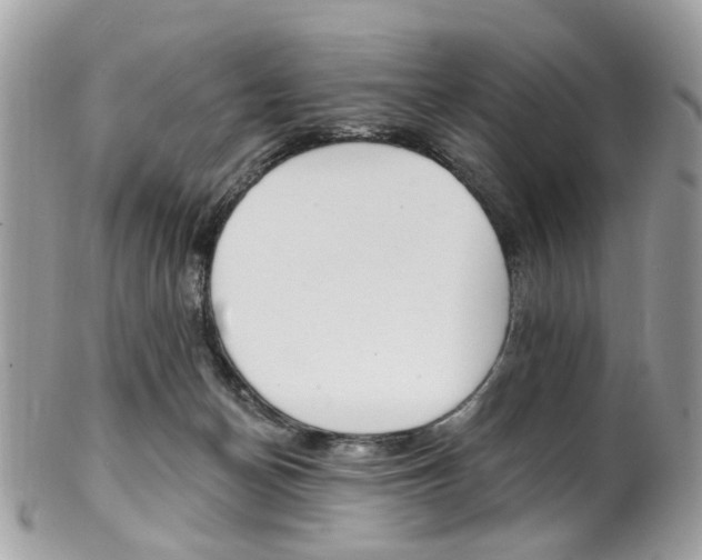 X0000101420174200807071040