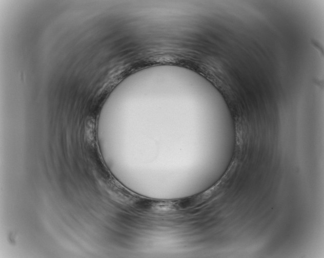 X0000101420175200807071040