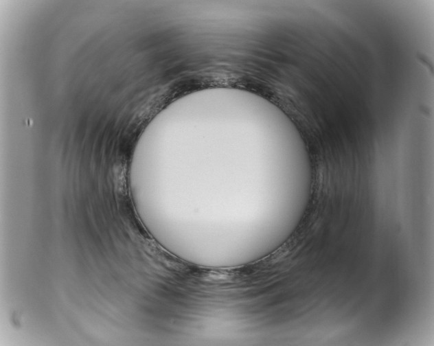 X0000101420177200807071040