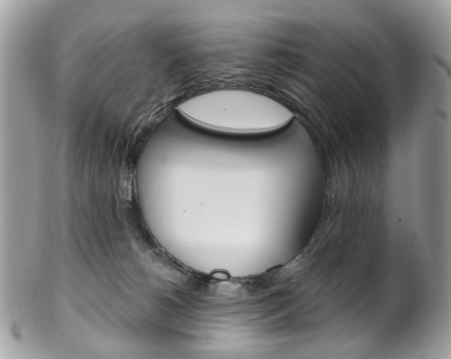 X0000101420180200807071040