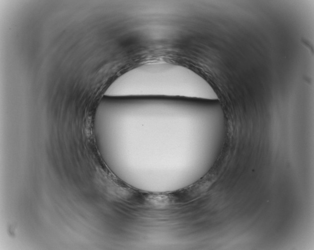 X0000101420181200807071040