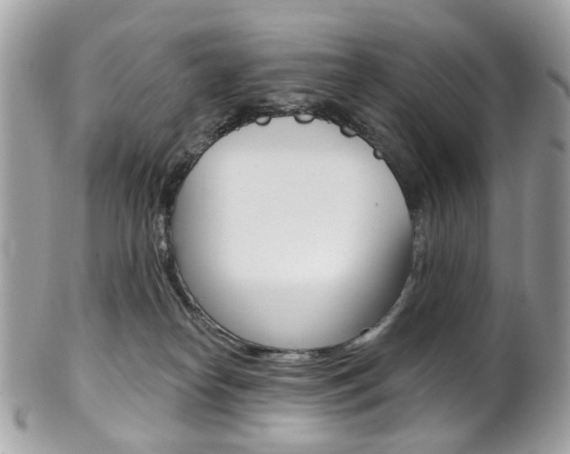 X0000101420182200807071040