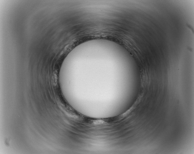 X0000101420183200807071040