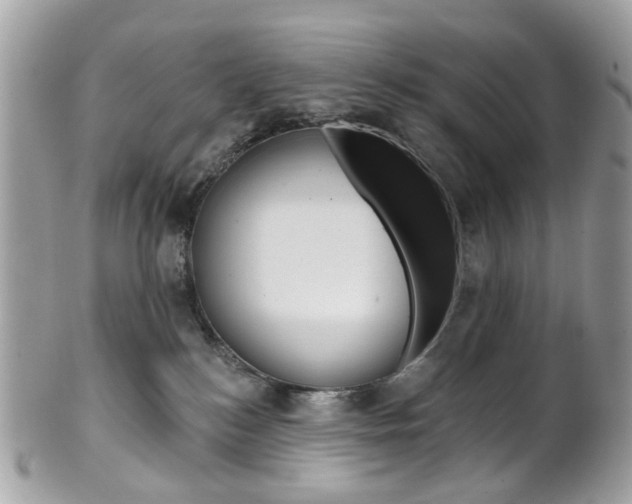X0000101420184200807071040