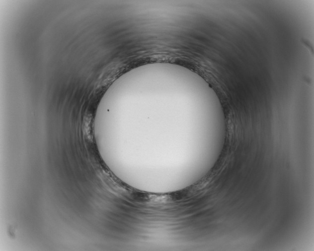 X0000101420185200807071040