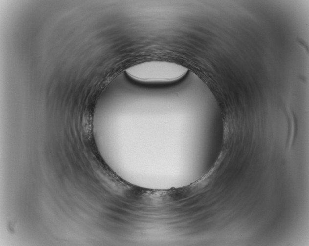 X0000101420186200807071040