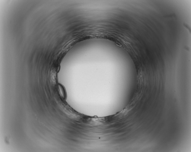 X0000101420188200807071040