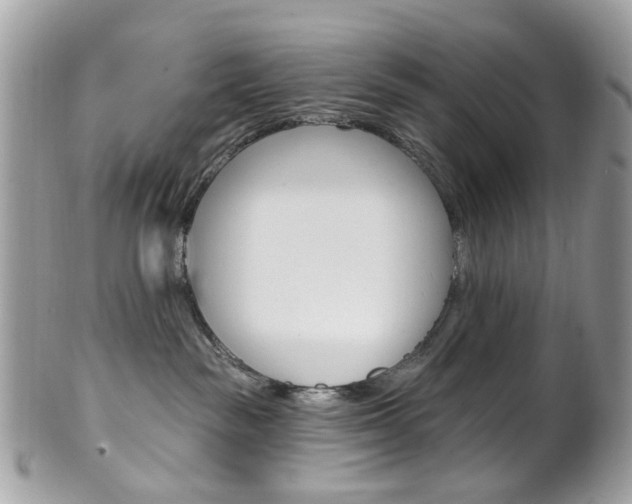 X0000101420189200807071040