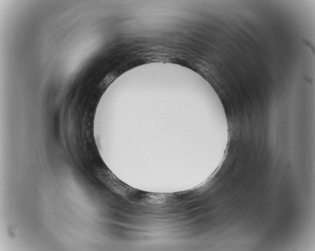 X0000101420190200807071040