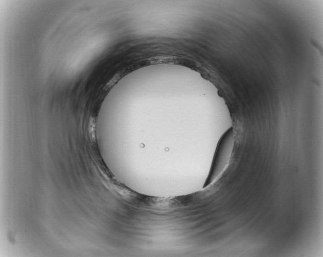 X0000101420191200807071040