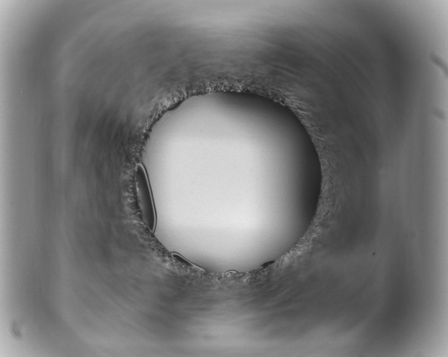 X0000101420192200807071040