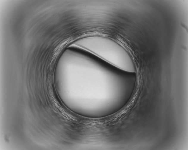 X0000101420193200807071039
